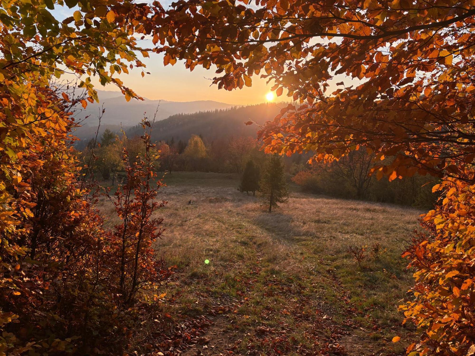 Gosciejowka Na Skraju Lasu Wisla Exterior photo