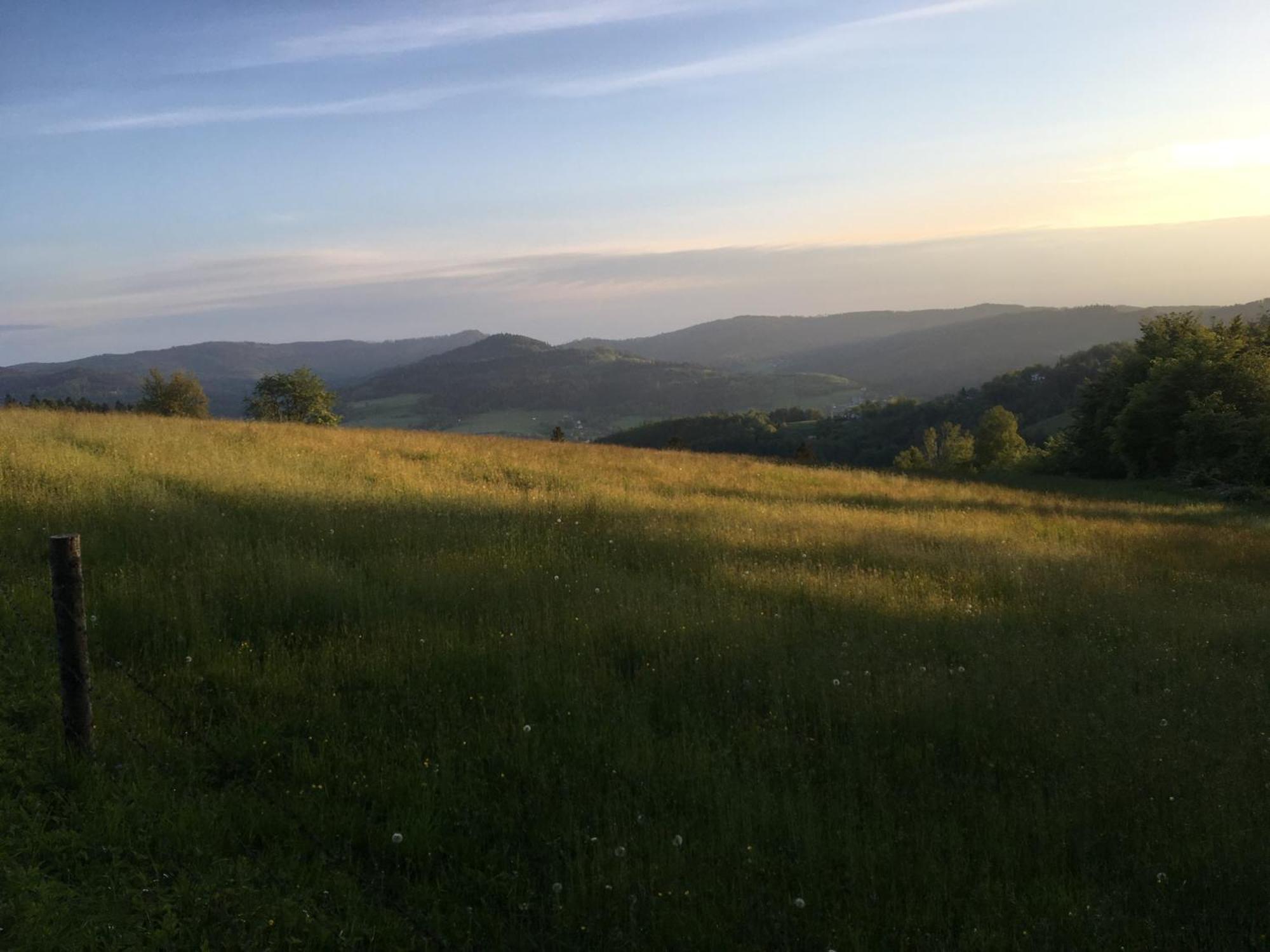 Gosciejowka Na Skraju Lasu Wisla Exterior photo